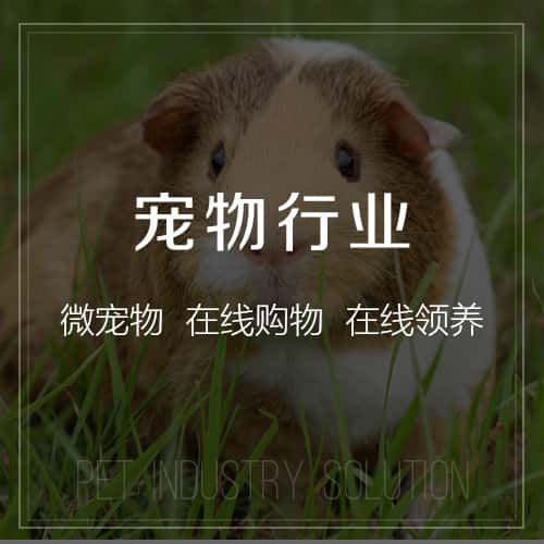 滨州宠物