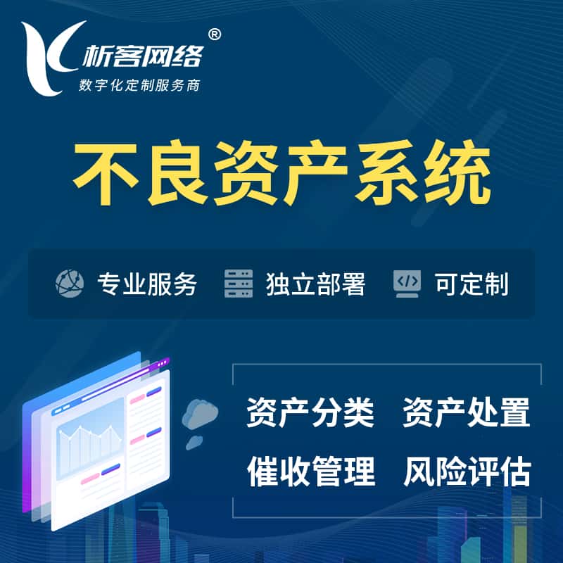 滨州不良资产管理系统