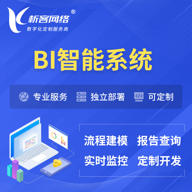 滨州BI智能系统 | BI数据可视化